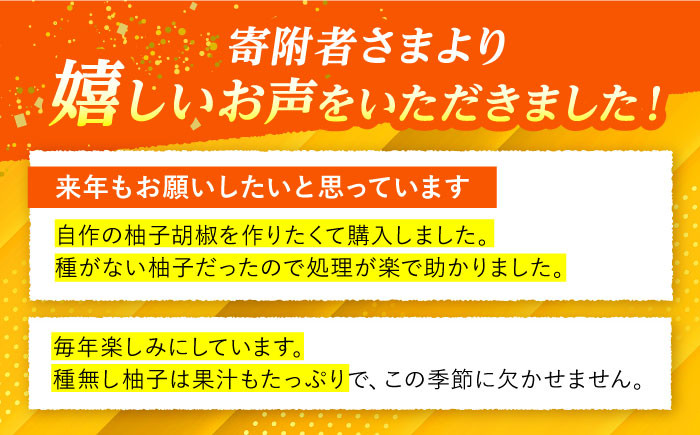 柚子 ゆず茶 ユズ 種なし ゆず 柚子胡椒 ゆずポン酢 種無し 柑橘 果実 果物