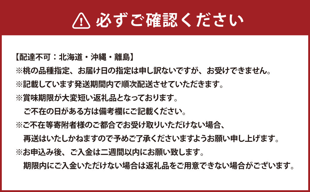 岡山県産 旬の白桃 6玉 （計1.6kg以上）