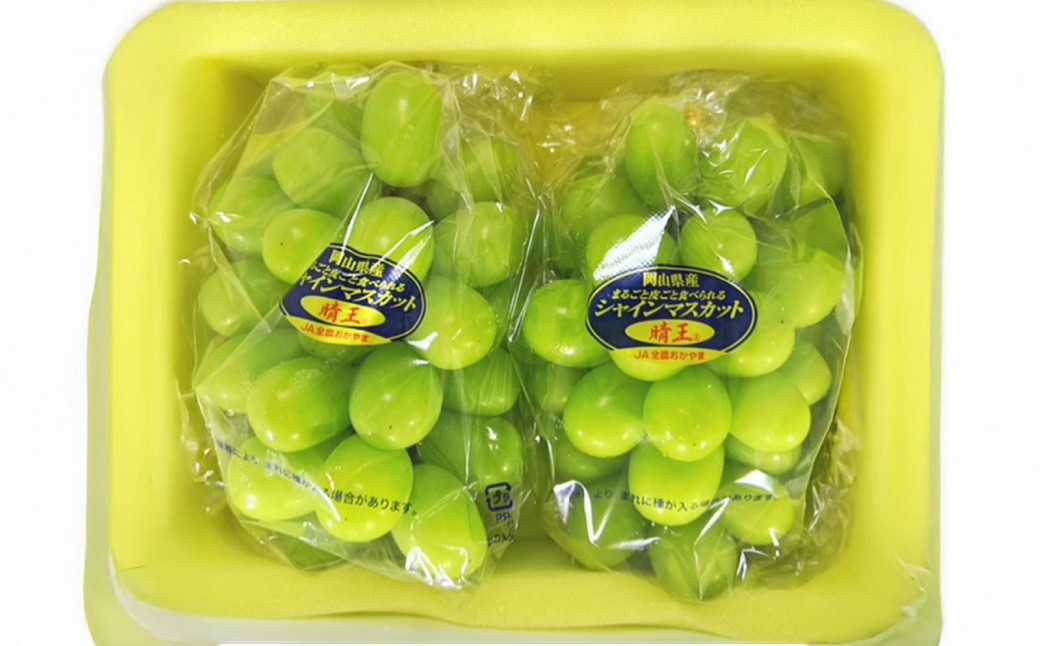岡山県産 シャインマスカット『晴王』 1房 （700g以上） 化粧箱入り