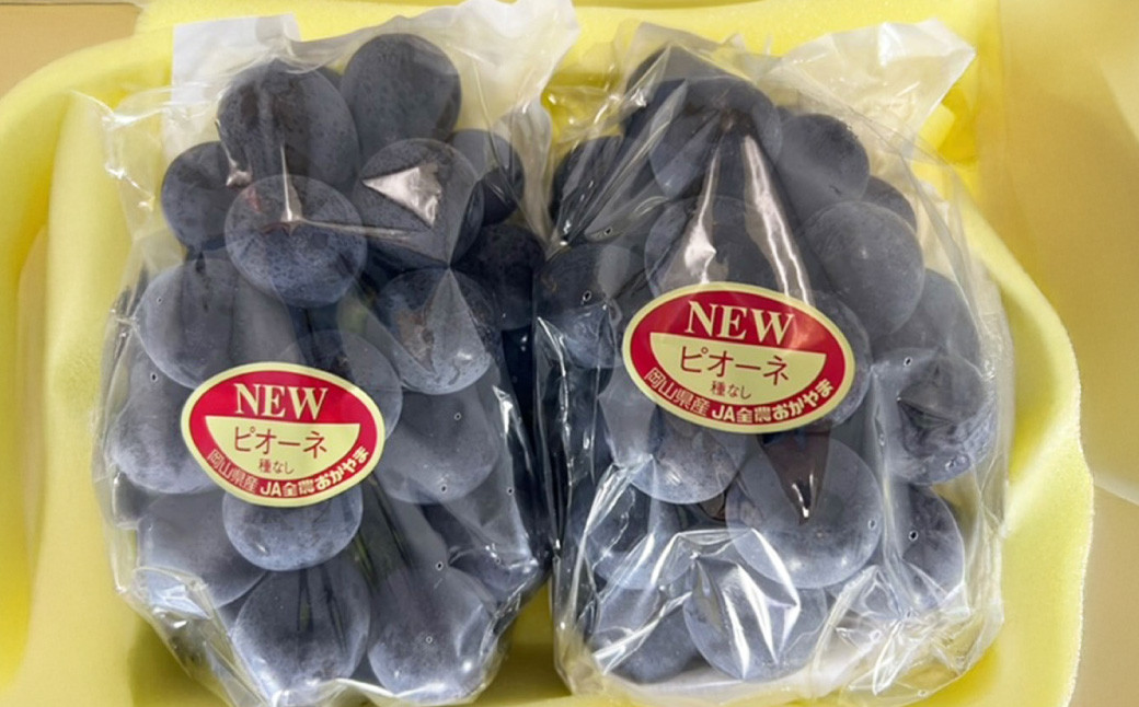 岡山県産 ニューピオーネ 2房 （1房480g以上） 約1kg 化粧箱入り