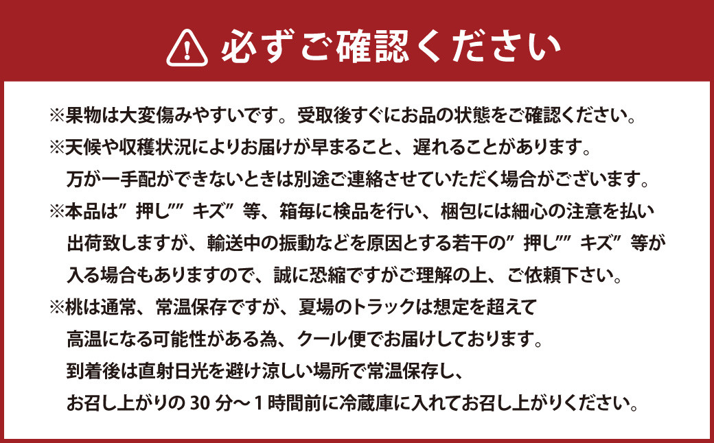 岡山県産 旬の白桃 6玉 （計1.6kg以上）