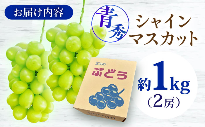 シャインマスカット ぶどう シャイン ブドウ 果実 くだもの 果物 フルーツ
