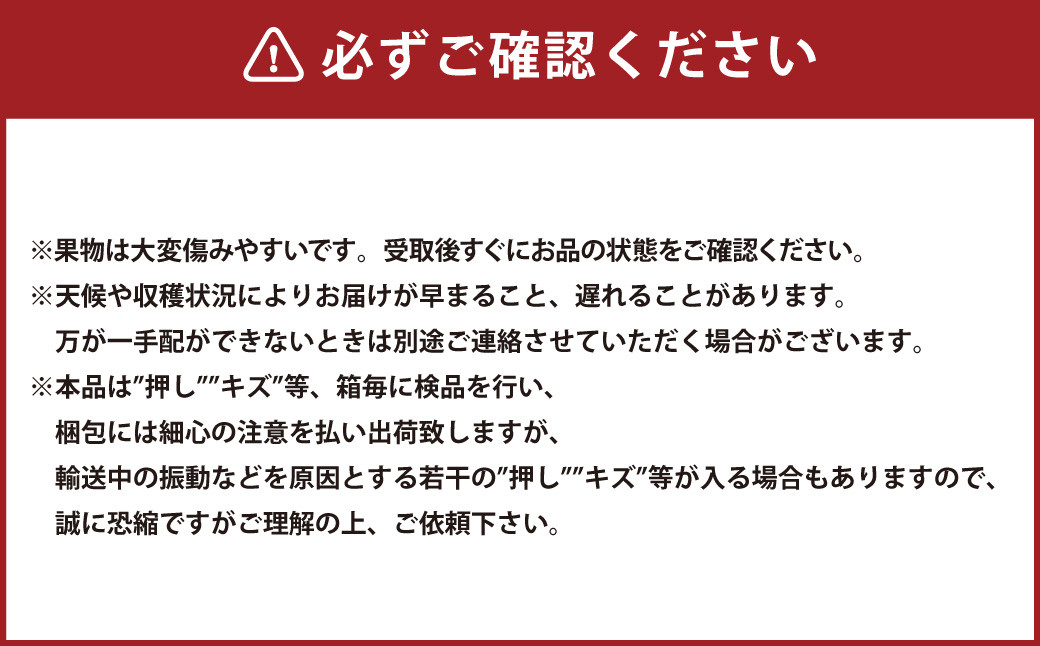 岡山県産 ニューピオーネ 2房 （1房480g以上） 約1kg 化粧箱入り