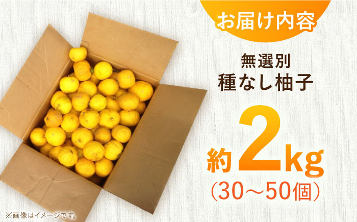 柚子 ゆず茶 ユズ 種なし ゆず 柚子胡椒 ゆずポン酢 種無し 柑橘 果実 果物
