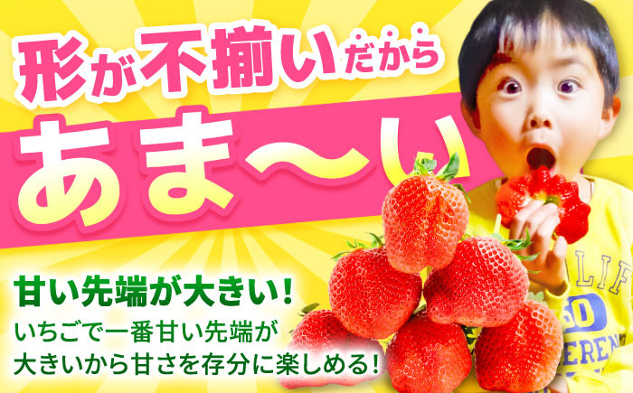 佐賀県産 いちごさん 計1kg以上(約250g×4P)いちご イチゴ 苺