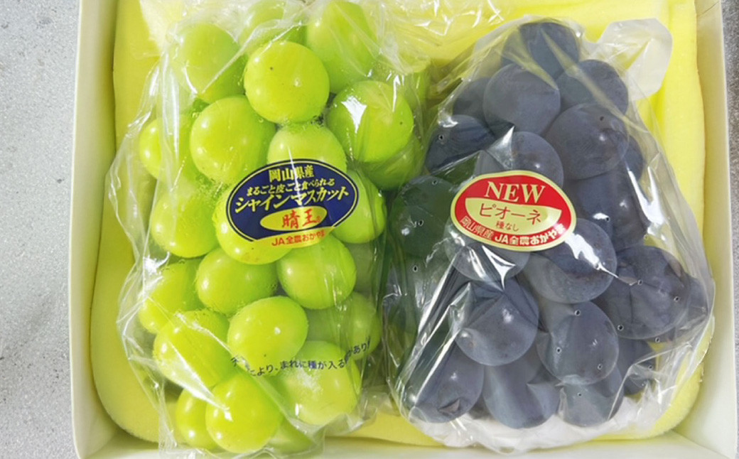 岡山県産 ぶどう詰合 ニューピオーネ 1房・シャインマスカット 晴王 1房 （各480g以上） 化粧箱入り 