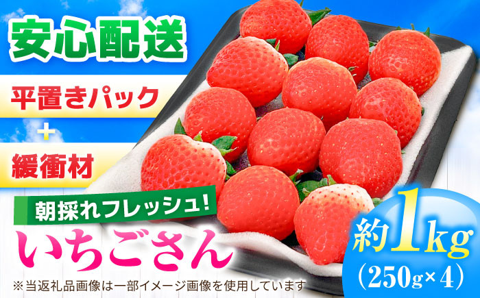 佐賀県産 いちごさん 計1kg以上(約250g×4P)いちご イチゴ 苺