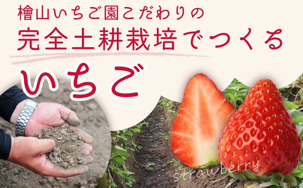 特大デラックスサイズ大粒いちご！ブランド苺「やよいひめ」を朝採れの新鮮なままお届け！