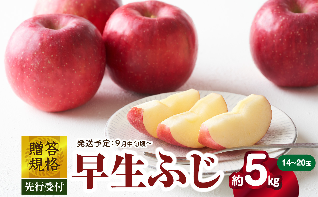 《先行受付》贈答規格 早生ふじ約5kg（特秀～秀14～20玉）【2026年9月中旬頃～発送予定】【山形りんご・りんご専科 清野】