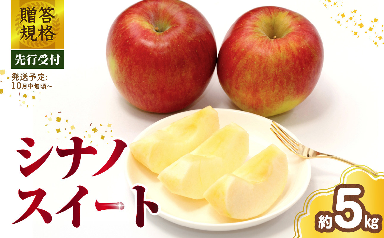 《先行受付》 贈答規格 シナノスイート約5kg（特秀～秀14～20玉）【2026年10月中旬～発送予定】