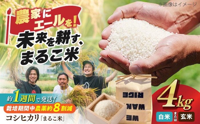 コシヒカリ 滋賀県西浅井町産「まるこ米」2kg×2米 お米 白米  4kg