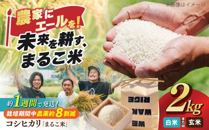 コシヒカリ 滋賀県西浅井町産「まるこ米」2kg米 お米 白米  2kg