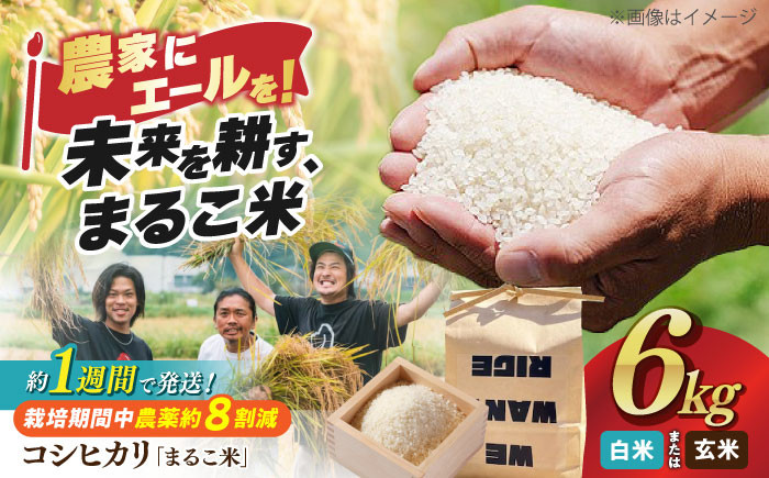 コシヒカリ 2kg×3 滋賀県西浅井町産 まるこ米米 お米 白米  6kg