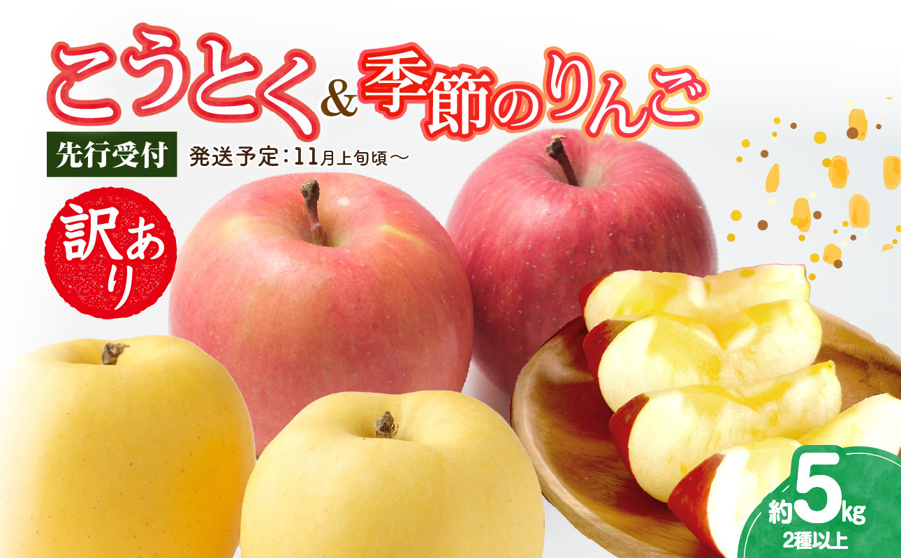 《先行受付》訳ありこうとく＆季節のりんご詰合せ約5kg 2種以上【2026年11月上旬～発送予定】