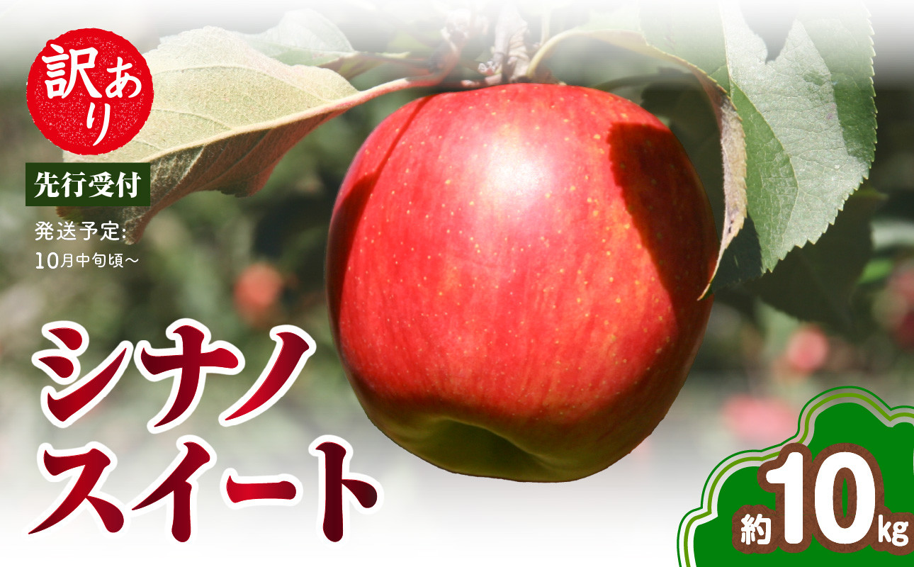 《先行受付》訳あり シナノスイート約10kg（28～46玉）【2026年10月中旬～発送予定】【山形りんご・りんご専科 清野】