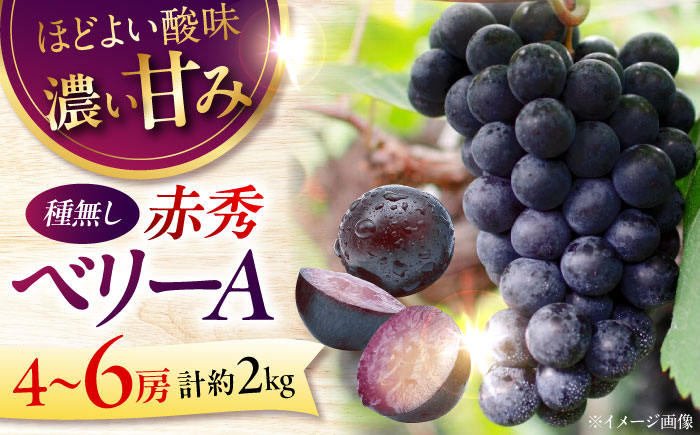 ぶどう ベリーA ブドウ 果実 くだもの 果物 フルーツ 贈答 ギフト フルーツ