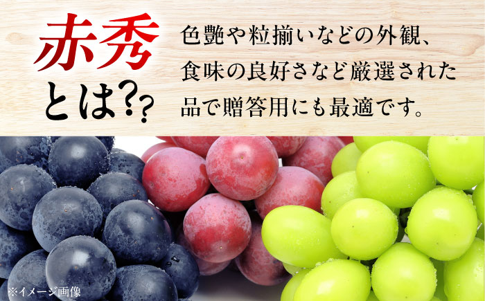 ぶどう ベリーA ブドウ 果実 くだもの 果物 フルーツ 贈答 ギフト フルーツ