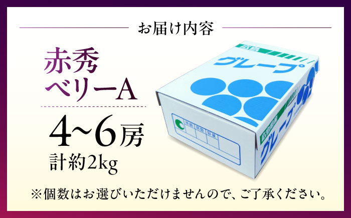 ぶどう ベリーA ブドウ 果実 くだもの 果物 フルーツ 贈答 ギフト フルーツ