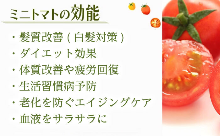 訳あり 訳アリ ミニトマト プチトマト トマト とまと 野菜 やさい リコピン 長崎県産
