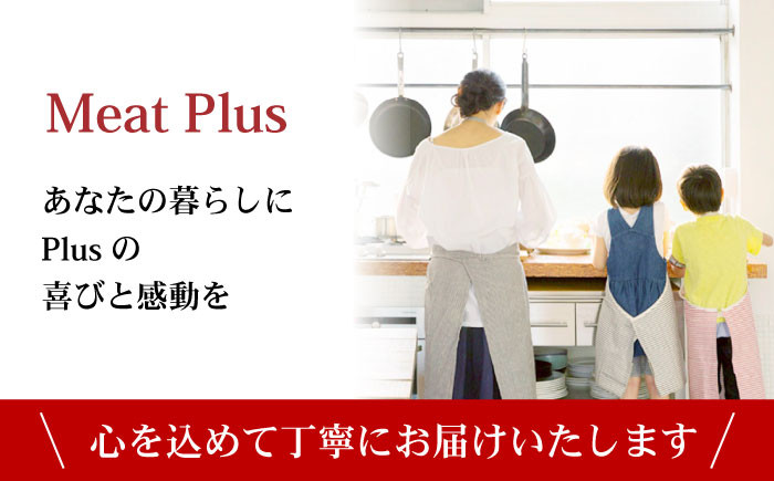 長崎和牛 和牛 国産 牛肉