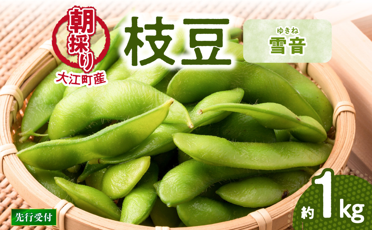 《先行受付》枝豆（雪音）約1kg【2025年8月末より順次発送予定】