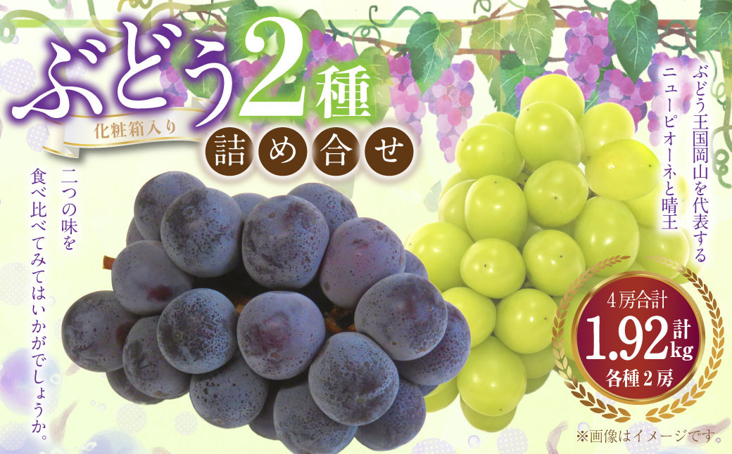 詰合 ニューピオーネ 2房 シャインマスカット 晴王 2房（1房各480g以上）計1.92kg以上 化粧箱入り