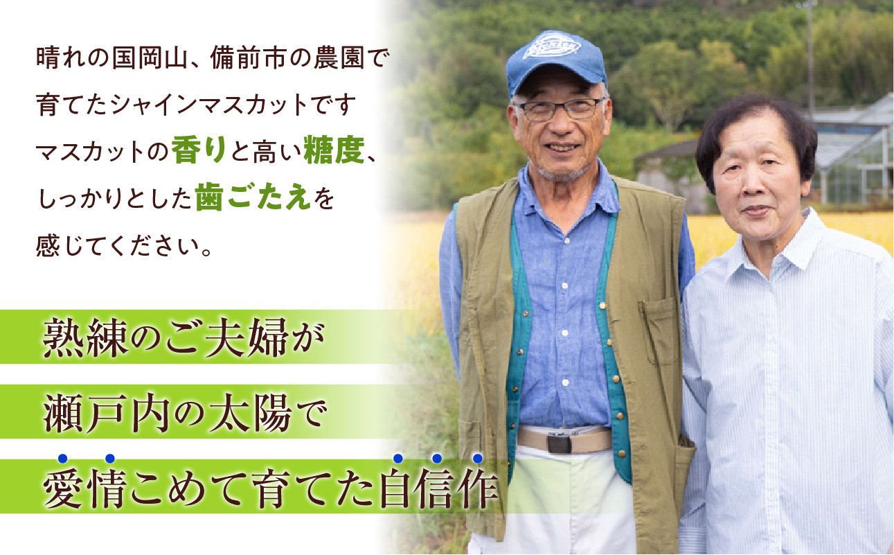 梱包例