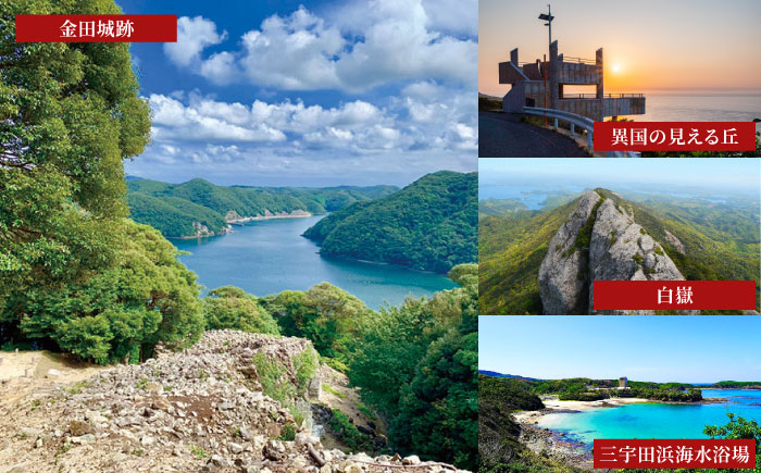 くえ 高級魚 魚 クエ アラ 希少 冷凍 対馬市 海鮮 魚介 刺身 刺し身 鍋 クエ鍋 鍋セット 白身 切り身