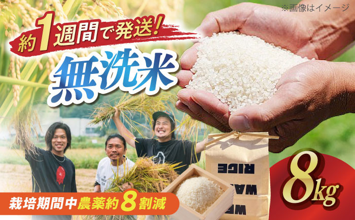 コシヒカリ 滋賀県西浅井町産「まるこ米」8kg（2kg×4）無洗米   米 お米 白米 こしひかり地域 応援