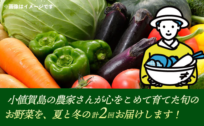 野菜 定期便