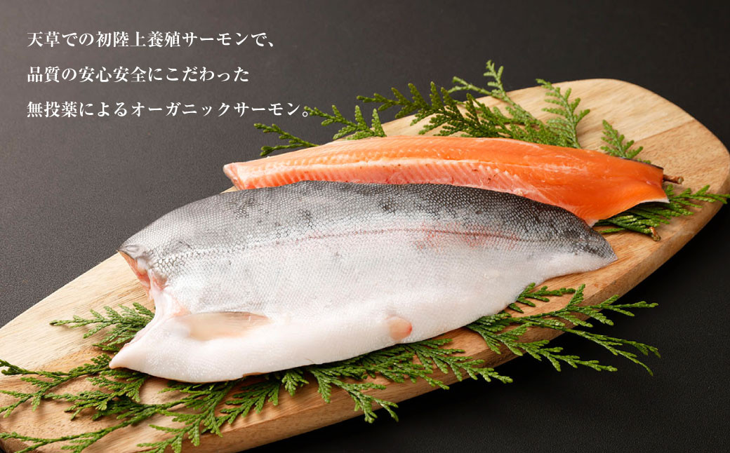 冷凍 アトランティックサーモン（養殖）フィーレ 約500g前後×2枚 合計 約1kg