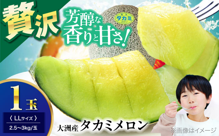 メロン めろん タカミ 小玉 こだま 貴味 果物 くだもの 旬 フルーツ 高級 デザート 2玉 3玉 先行予約