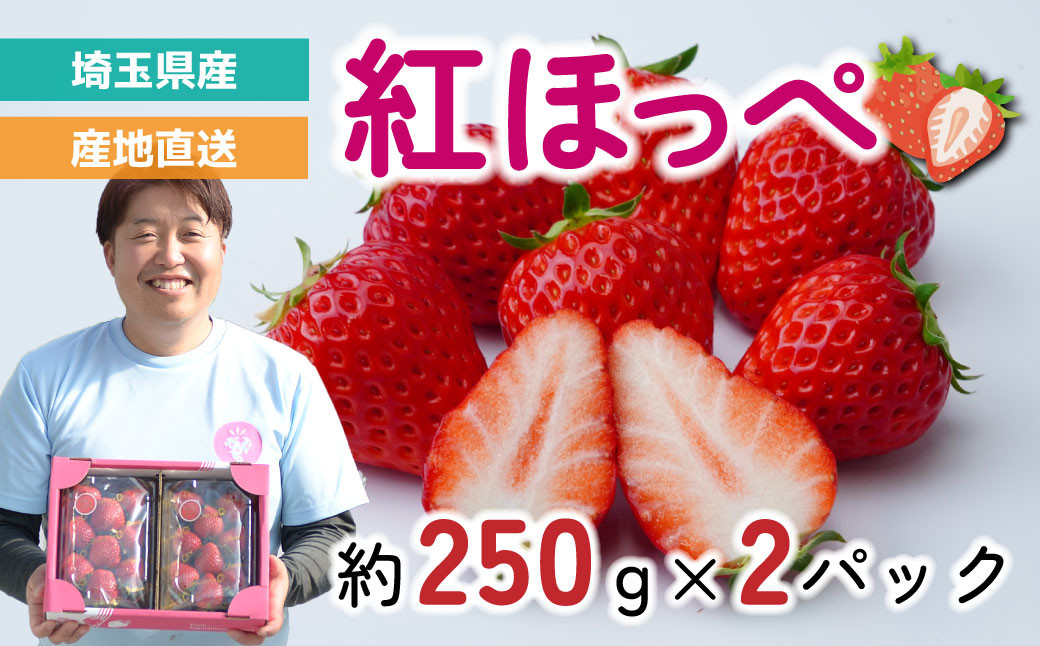いちご 【先行予約】 紅ほっぺ 2パック 約500g