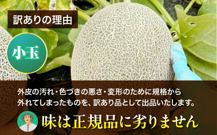 メロン めろん タカミ 小玉 こだま 貴味 果物 くだもの 旬 フルーツ 高級 デザート 2玉 3玉 先行予約