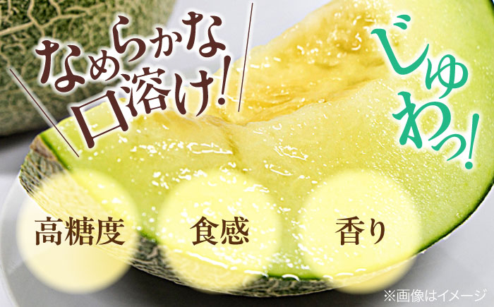メロン めろん タカミ 小玉 こだま 貴味 果物 くだもの 旬 フルーツ 高級 デザート 2玉 3玉 先行予約