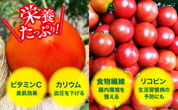 トマト とまと 大玉トマト 桃太郎 桃太郎ネクスト 野菜 やさい 春夏野菜 パスタ トマトジュース ジャム ハウス栽培 リコピン