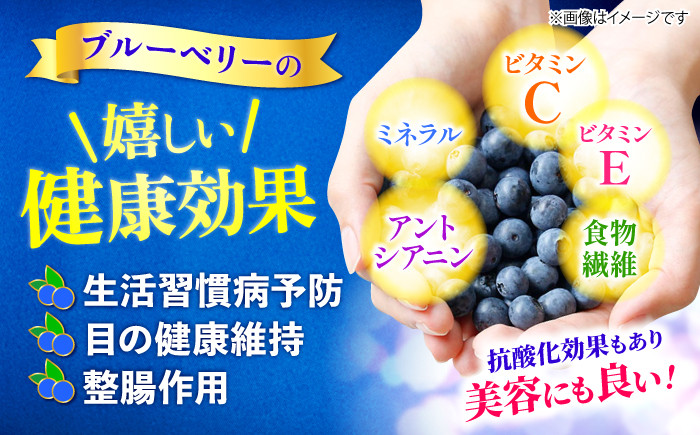 ブルーベリー ぶるーべりー 2kg