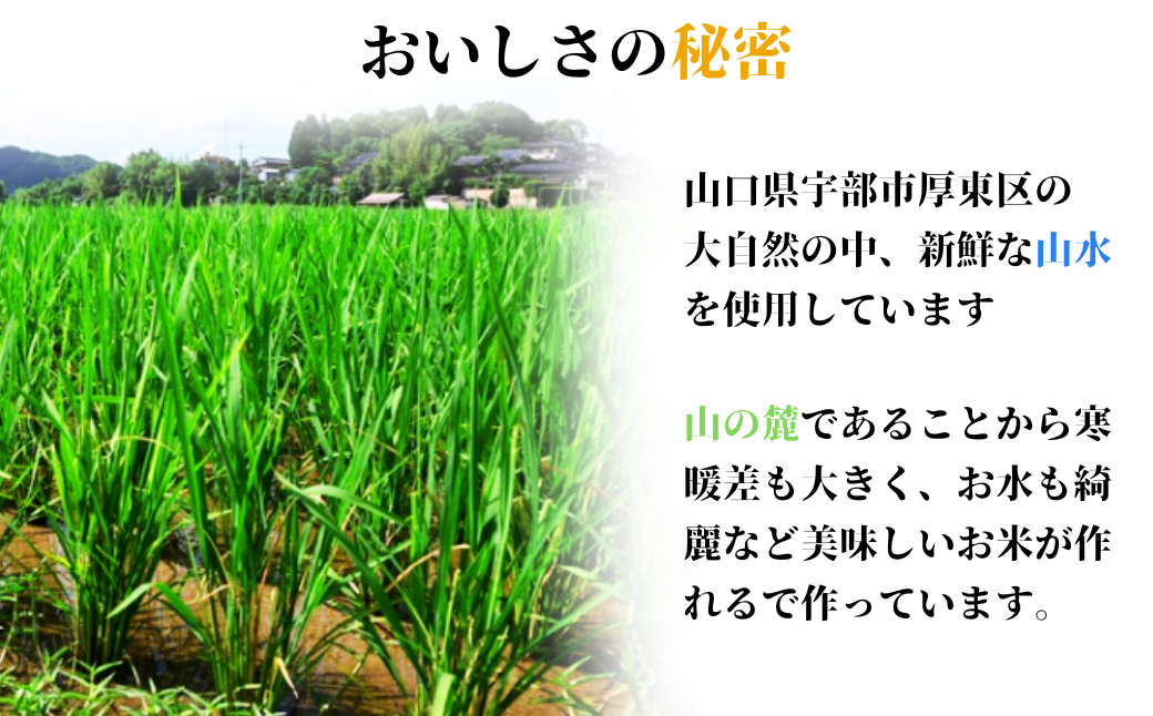 玄米 【先行予約／令和8年産新米】 ヒノヒカリ 5kg 玄米 げんまい ゲンマイ げん米 ゲン米 玄まい 玄マイ ヒノヒカリ