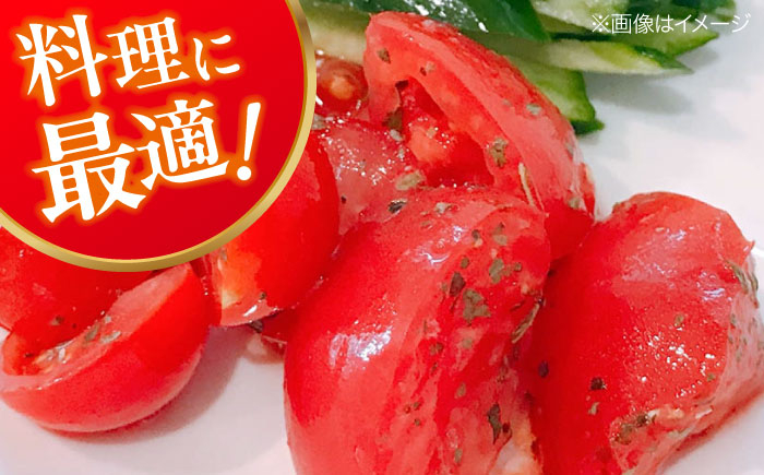 トマト とまと 大玉トマト 桃太郎 桃太郎ネクスト 野菜 やさい 春夏野菜 パスタ トマトジュース ジャム ハウス栽培 リコピン