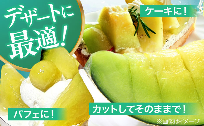 メロン めろん タカミ 小玉 こだま 貴味 果物 くだもの 旬 フルーツ 高級 デザート 2玉 3玉 先行予約