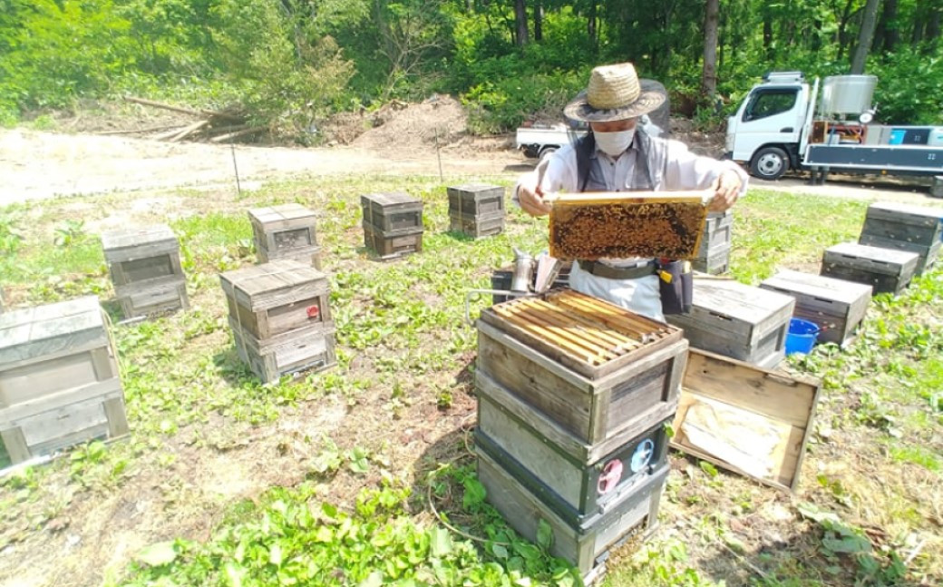 色味も味わいも異なる3種のはちみつ。食べ比べをお楽しみください。