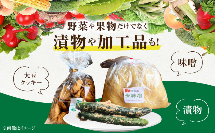【隔月発送】【全6回定期便】新鮮野菜・加工品 おまかせ詰め合わせ【だいちの家】[HAG017]