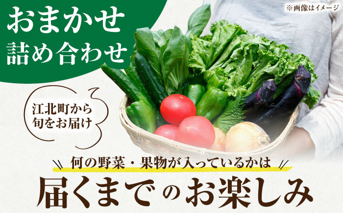 【隔月発送】【全3回定期便】新鮮野菜・加工品 おまかせ詰め合わせ【だいちの家】[HAG016]