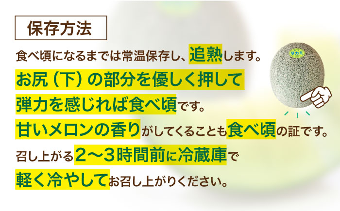 メロン めろん タカミ 小玉 こだま 貴味 果物 くだもの 旬 2025 フルーツ 高級 デザート 2玉 3玉 先行予約