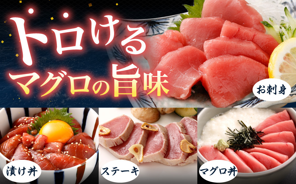 本マグロ 大賞受賞 みやび鮪 赤身 計約600g(約6~7人前) 鮪 まぐろ マグロ