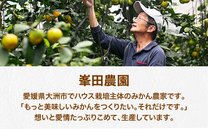 はれひめ みかん オレンジ フルーツ ミカン 果物 かき氷 みかんジュース 愛媛みかん 柑橘 ストレートジュース