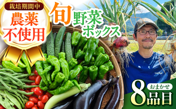 旬のお野菜 ボックス 栽培期間中化学肥料・農薬不使用 やさい 季節の野菜