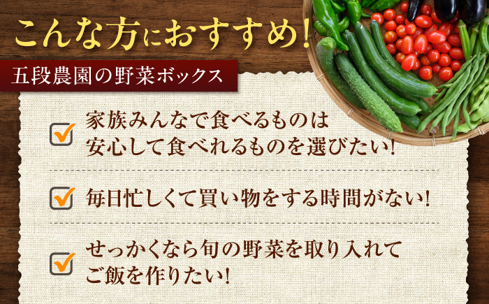 旬のお野菜 ボックス 栽培期間中化学肥料・農薬不使用 やさい 季節の野菜