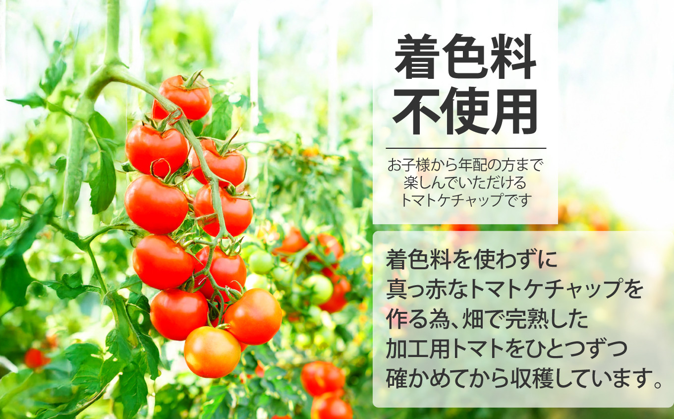 とまとケチャップ 380g×3個 [JA加美よつば（営農企画課） 宮城県 加美町 ] 調味料 | yo00008-3