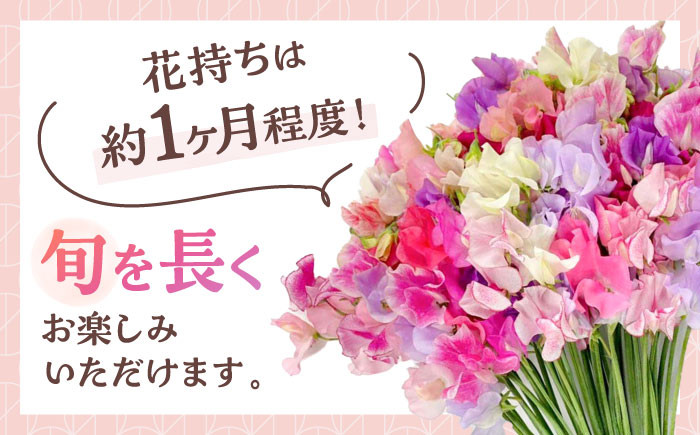 大切なあの人へのギフトにもおすすめ！